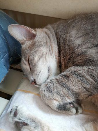 IMG_20190403_130526.jpg