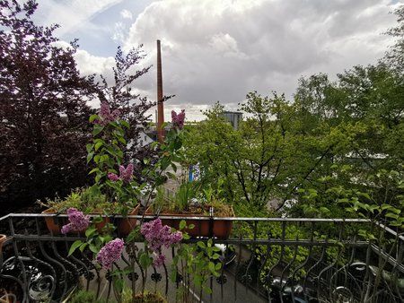 IMG_20190503_100000.jpg