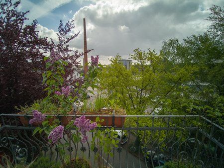 LRM_20190503_100043.jpg