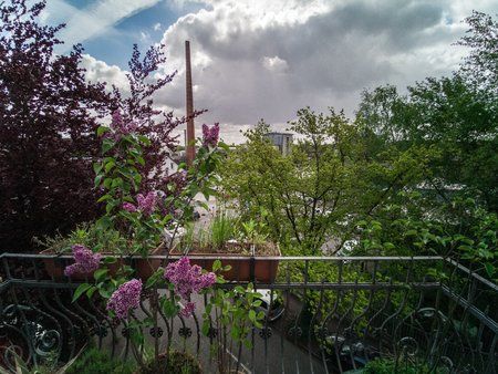 LRM_20190503_100043-2.jpg
