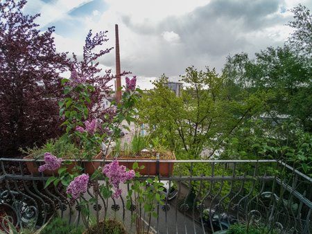 LRM_20190503_100033-hdr.jpg