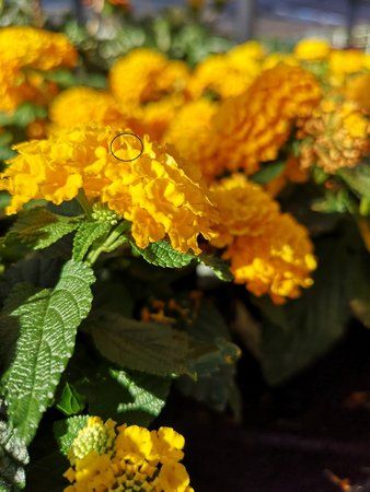 IMG_20190430_182251_1.jpg