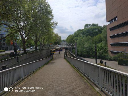 IMG_20190506_145948.jpg
