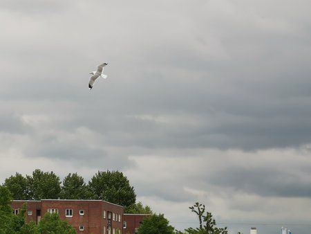 IMG_20190510_155844.jpg