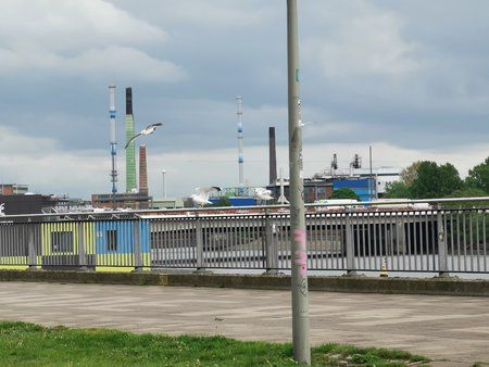 IMG_20190510_160927.jpg