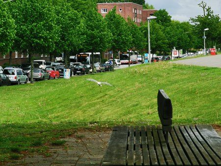 IMG_20190510_161220.jpg