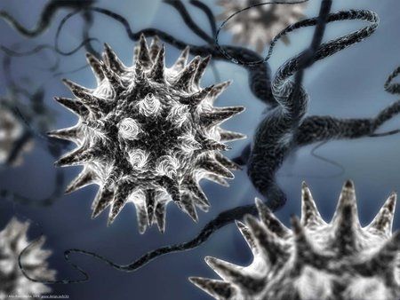 virus.jpg