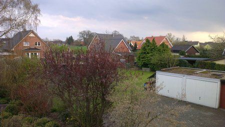 IMAG0061.jpg