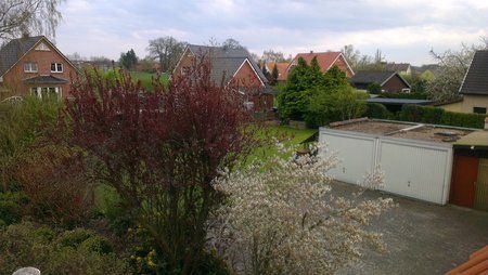 IMAG0089.jpg