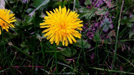 VIDEO0026_0000026831.jpg