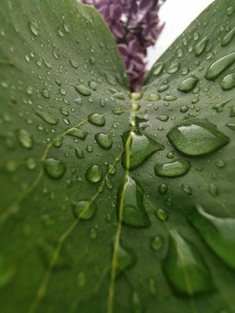 IMG_20190510_100950.jpg