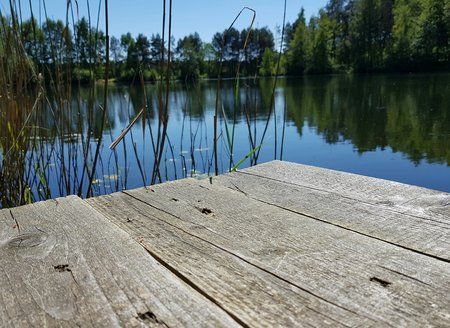 20190513_142401_1.jpg