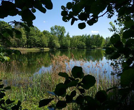 20190513_141845_1.jpg