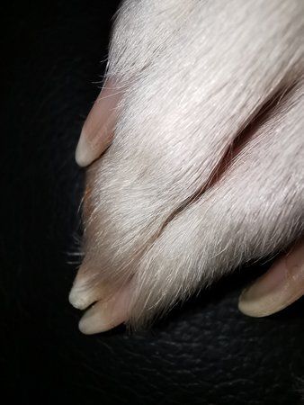 IMG_20190512_201209.jpg