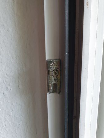 20190515_074904.jpg