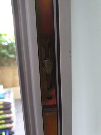 20190515_074952.jpg