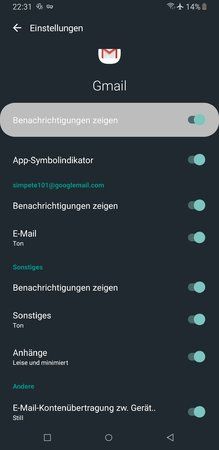 Screenshot_20190515-223138_Settings.jpg