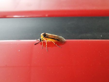 IMG_20190516_180007.jpg
