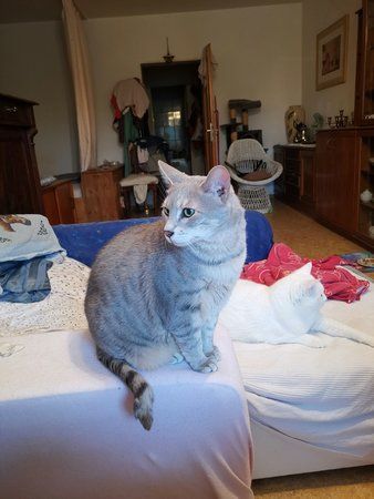 IMG_20190516_194111.jpg
