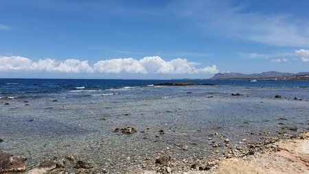 20190508_123144.jpg