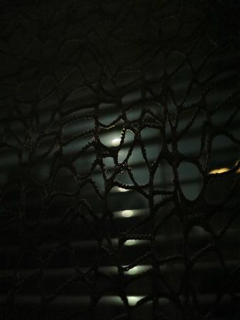 IMG_20190517_230933.jpg