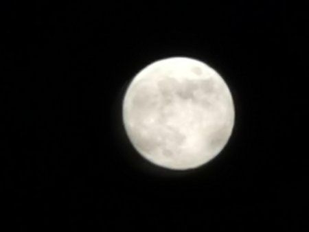 IMG_20190517_215619.jpg