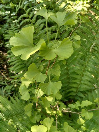IMG_20190518_091719_959.jpg