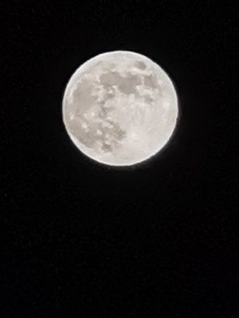 IMG_20190518_230259.jpg