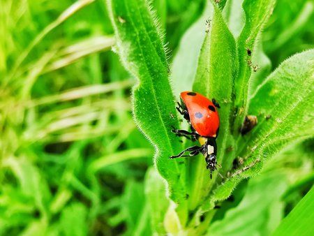 IMG_20190519_152816-01.jpeg
