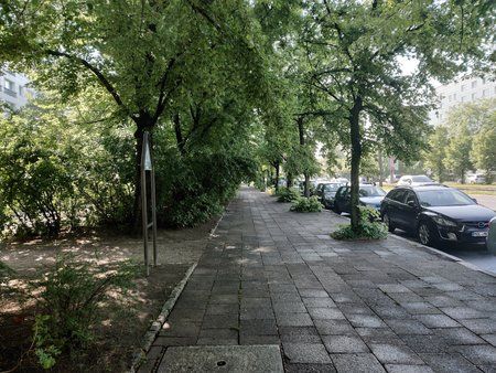 IMG_20190517_085856.jpg