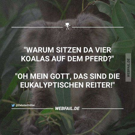 reiter.jpg
