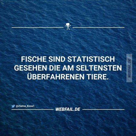 fische.jpg