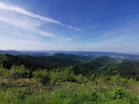 IMG_20190523_103153.jpg