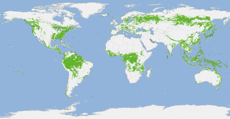 globale-waldkarte-620x320.png