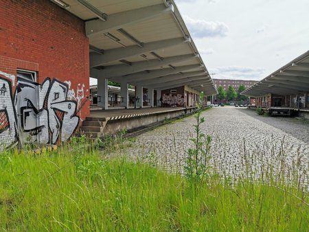 IMG_20190523_155455.jpg