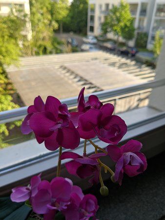 IMG_20190524_081737.jpg