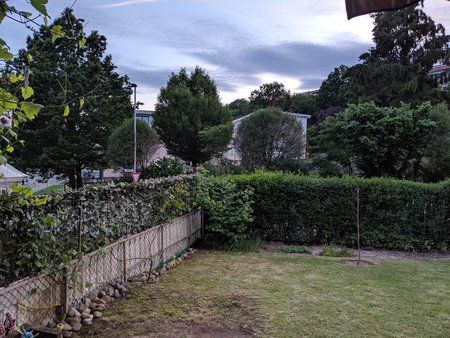 MVIMG_20190524_211321.jpg