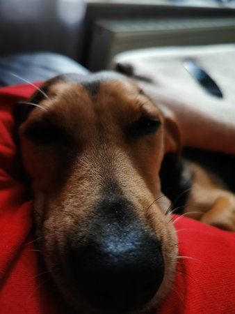 IMG_20190525_191111.jpg
