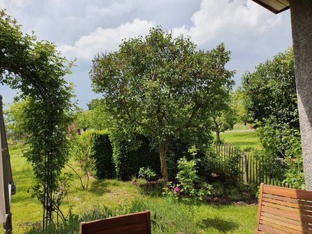Z_20190525_130559.jpg