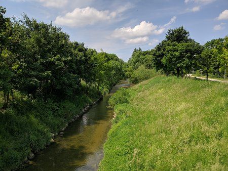 IMG_20190526_120938.jpg