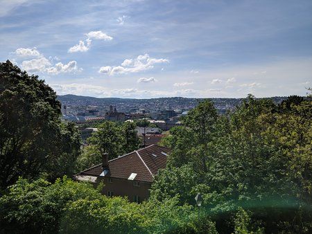 IMG_20190526_163639.jpg