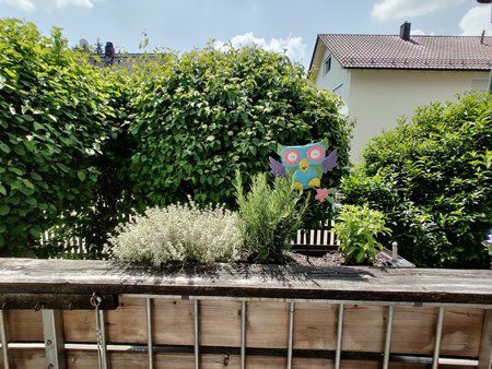 IMG_20190526_140142.jpg