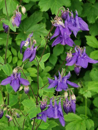 IMG_20190527_134411.jpg