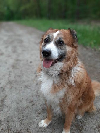 20190527_172340.jpg