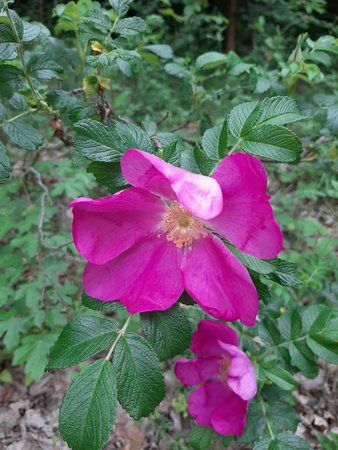 20190527_172056.jpg