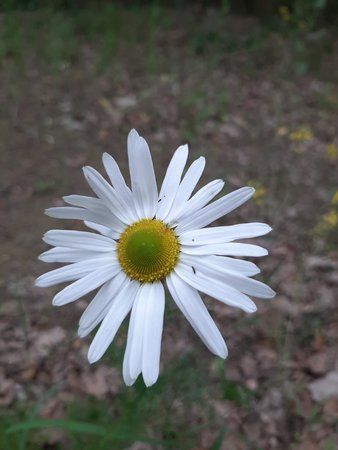 20190527_172503.jpg