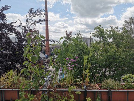 IMG_20190528_103402.jpg