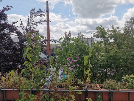 IMG_20190528_103410.jpg