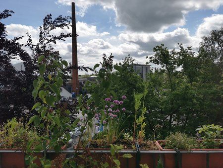 IMG_20190528_103416.jpg
