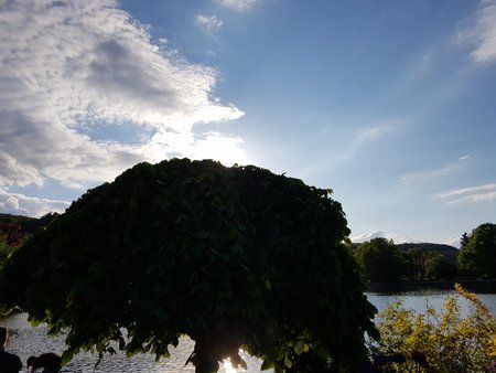 20190529_191708.jpg